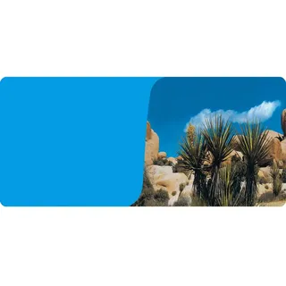 Reptiles-Planet Poster Desert/Blue Terrarium 2 Seiten 1, Rolle à 15 m, Höhe 60cm