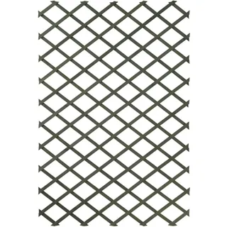 Versele-Laga Garten-Rankgitter 100 x 200 cm Holz Grün