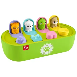 Mattel Fisher-Price FP Pets Pop-up-Aktivitätsspielzeug für Feinmotorik, entwicklungsf√∂rderndes Sp 1 St