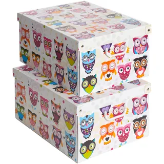 Set aus 2 Aufbewahrungsboxen mit Deckel – Große Kleiderboxen aus Karton 39x50x24 cm – Robust, leicht zu montieren, mit Tragegriffen – Perfekt für Kleiderschrank & Saisonwechsel Eulen