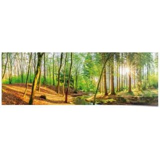 Reinders! Poster »Sonniger Wald«, grün