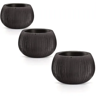 Pack 3 Töpfe Prosperplast Beton Bowl Plastik mit schwarzer Zementfarbe, Set s Größe