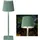 LED Tischlampe Grün