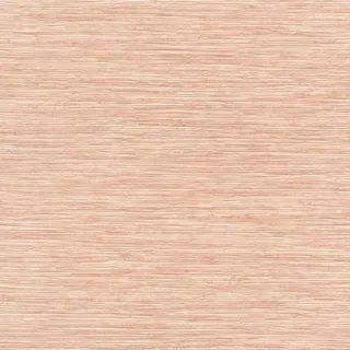 Rasch Tapeten 866476 - Unitapete aus Vlies in hellem Orangebraun aus der Kollektion Symphony - 10,05 m x 0,53 m (LxB)