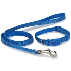 Ancol Small Bite Reflektierendes Halsband und Leine, Set für kleine Hunde und Welpen, Blaue Knochen