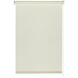 GARDINIA Seitenzug-Rollo, Lichtdurchlässig Silvalin Natur,