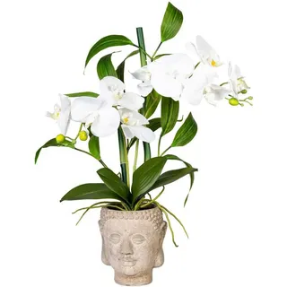Creativ green Kunstorchidee Orchideen-Bambus-Arrangement im Buddhakopf Orchidee, Creativ green, Höhe 60 cm weiß