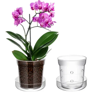 Baderke Orchideentopf mit Ablauflöchern und Tablett, transparenter Glastopf, Übertopf für Orchideen, Blumenumtopfen, rutschfeste Glas-Pflanzvase für drinnen und draußen, Heimdekoration (15,2 cm)