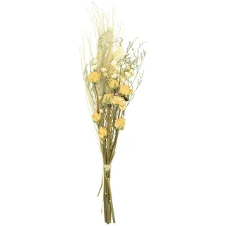 HEITMANN DECO Trockenblumen-Strauß - Natur/gelb - ca. 48cm