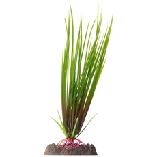 Penn-Plax Pflanzen-Hr Gras, klein