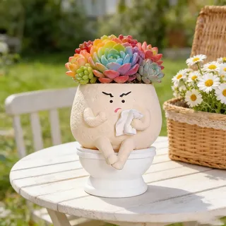 eupdd Lustige Blumentöpfe Blumentopf Lustig Mit Gesicht, 1 Stück WC Form Saugfähiger Sukkulenten Topf 34×25×2,6 cm, Deko Für Wohnzimmer Balkon Büro Garten, Geschenkidee