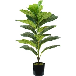 King Home Ficus Lyrata H. 75 cm 21 Blatt