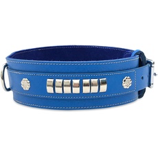 BBD Pet Products Mastiff-Halsband, Einheitsgröße, 1,27 x 81,3 cm, Königsblau