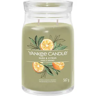 Yankee Candle Sage & Citrus Duftkerze 567 g grün