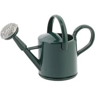 Mini-Utensilien Giesskanne 4 x 1.5 x 2.5 cm, Grün