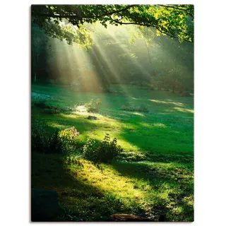 Artland Wandbild »Lichtkegel« Wald 1 Stk. tlg. als Alubild, Outdoorbild, Leinwandbild, Poster, Wandaufkleber, grün