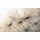 Selbstklebend kinderleichte Anbringung Pusteblume Sticker