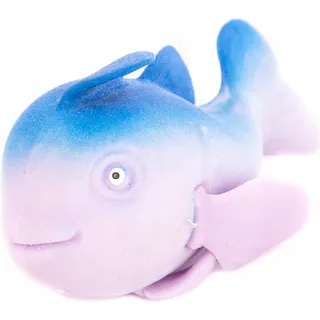 Antistress Fisch Quetschball Knetball Spielzeug Kinder Erwachsene Bunt 12cm Abbau