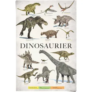 Reinders! Reinders Poster "Dinosaurier" 1 Stk. tlg., farbe bild(er): grün