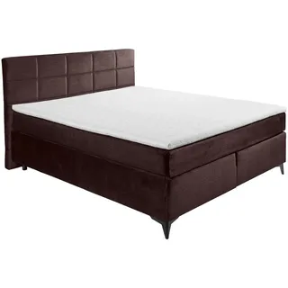 Xora BOXSPRINGBETT Aubergine - 180x200 cm