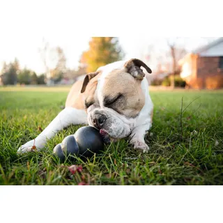 Kong Extreme L schwarz