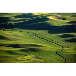 Papermoon Fototapete »Landschaft«, bunt