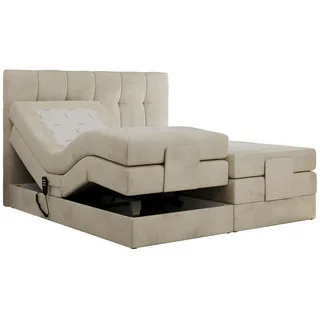 MKS Vittoria 180 x 200 cm H4 Beige