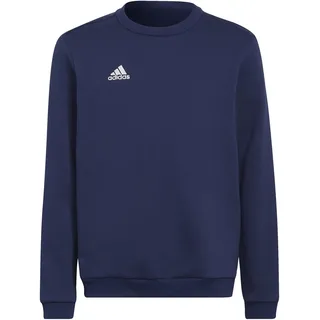adidas Entrada 22 Sweatshirt Tenabl, 1112
