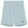 Puma Teamgoal Shorts Jr Gestrickte Shorts