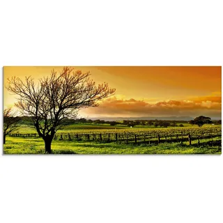 Artland Glasbild "Landschaft mit Weinbergen" Felder 1 Stk. tlg. in verschiedenen Größen, farbe bild(er): orange