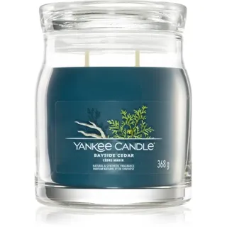 Yankee Candle Bayside Cedar Duftkerze 368 g blau