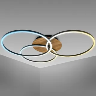 B.K.Licht BK_FR1528 1 Stk. rund schwarz