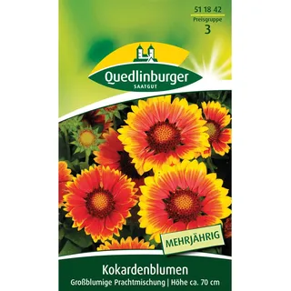 Quedlinburger Kokardenblume ''großblumige Prachtmischung''