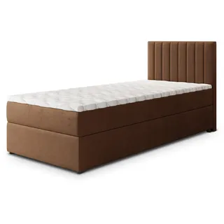 masseno Bresel 80 x 200 cm H2 Braun