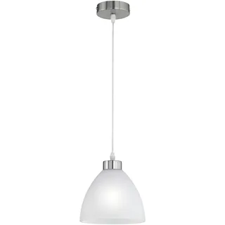 Trio Dallas 1-flg. 20 cm grau/Glas opal matt weiß