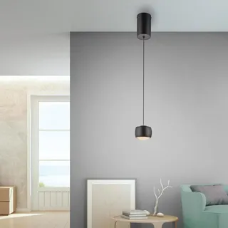 Paul Neuhaus LED Pendelleuchte Ballini 220 cm 5,2 W warmweiß - Schwarz