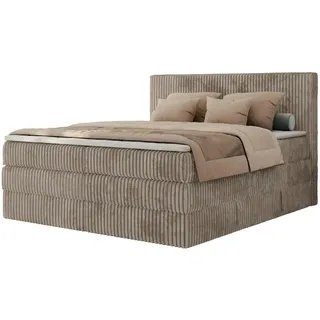 MKS Meble Boxspringbett 200x200 Hellbraun Cord, Boxspringbett mit Matratze H3, Bett 200x200 mit Bettkasten and Kopfteil, Doppelbett mit Stauraum, Topper T25, Polsterbett 200x200 - Tiliano King - Hellbraun