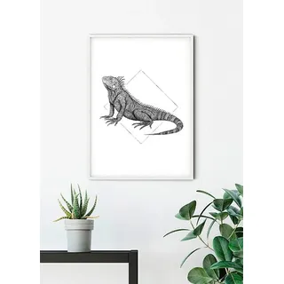 Komar Poster »Iguana White«, Tiere, (1 St.), Kinderzimmer, Schlafzimmer, Wohnzimmer, bunt