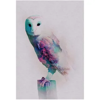 KOMAR Animals Forest Owl 50 x 70 cm