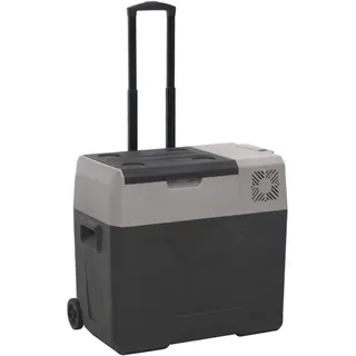 vidaXL Kompressor Kühlbox 50 l