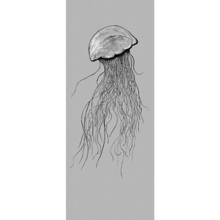 KOMAR Fototapete Vlies Jellyfish Panel 100 x 250 cm 100 x 250 cm