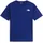 Bold Blue XL