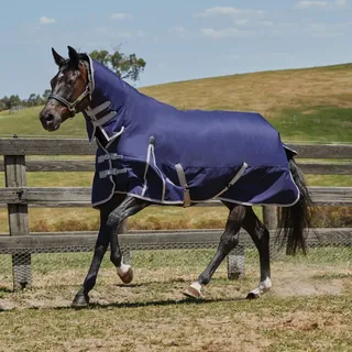 Weatherbeeta Comfitec Essential Combo Lite Plus 50g - navy/silver/red - Blau