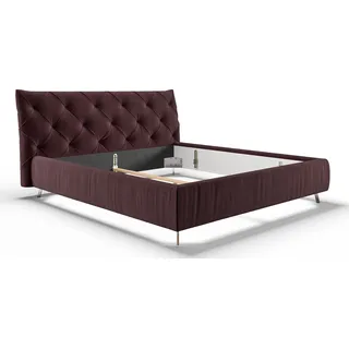 KAWOLA Bett ANNY Polsterbett Kopfteil niedrig Velvet purple 200x200cm