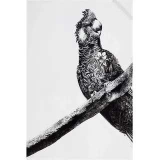 Maxwell & Williams Marini Ferlazzo Geschirrtuch mit Asiatischem Schwarzbär-Motiv, 100% Indische Baumwolle, Weiß, 50 x 70 cm, Küchentuch Waschmaschinenfähig