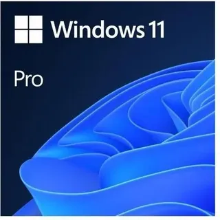 Windows 11 Pro DVD PL