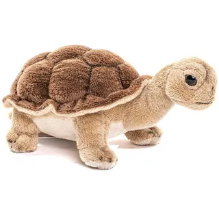 Uni-Toys - Landschildkröte - 19 cm (Länge) - Plüsch-Schildkröte - Plüschtier, Kuscheltier