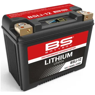 BS Battery BS-Battery LiFePO4 Batterie wartungsfrei