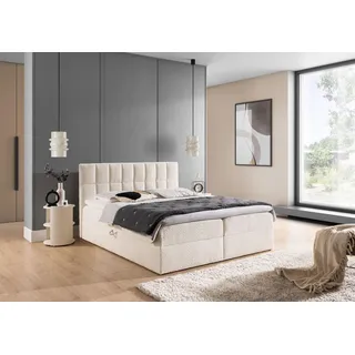 Boxspringbett Schlafzimmerbett DOMINGA PREMIUM 200x220cm Stoff Coral Creme - Weiß