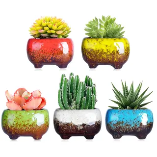 ARTKETTY Moderne Sukkulente Pflanzgefäße Töpfe - 12 cm Keramik Sukkulenten Übertöpfe Töpfe Mini Glasiert Blumentopf Mit Drainageloch Perfekt Für Schreibtisch oder Windowsill (5 In Set)